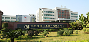 東莞精準(zhǔn)通檢測(cè)案例